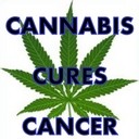 Cannabis Kills Cancer says UCLA and Others … from Inti