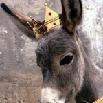King’s servant enrolled his donkey … from Reens