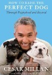 A Dog’s Purpose? (from a 6-year-old) … from Leena Mody