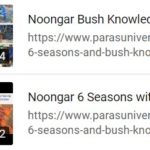 Noongar 6 Seasons and Bush Knowledge by Marissa Verma of Bindi Bindi Dreaming