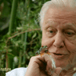 Life on Air – Memoirs of a Broadcaster by Sir David Attenborough