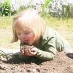 Antidepressant Microbes In Soil: How Dirt Makes You Happy