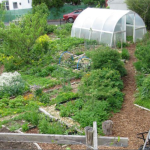 Profitable Permaculture Farms – From Home scale to 100 Acre Scale Farm