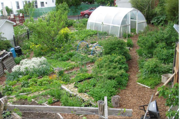 Profitable Permaculture Farms From Homescale To 100 Acre Scale