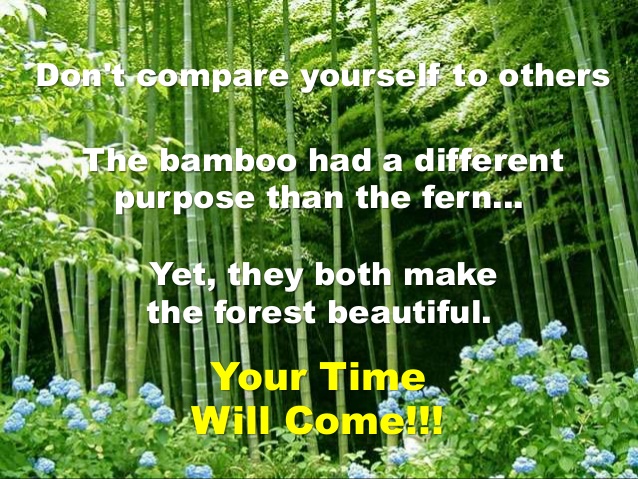 the-bamboo-nice-story-15-638
