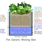 HOW TO BUILD WICKING BEDS with Terra Perma Design
