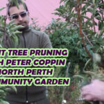 Fruit Tree Pruning with Peter Coppin at North Perth Community Garden