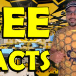 Information on Bees