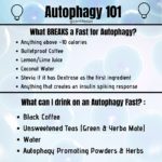 Autophagy – How Fasting Eats the Body’s Own Damaged Cells & Shrinks Fat Cells