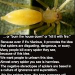 This is why we don’t NOPE and do Encourage Awareness about Insects and Spiders