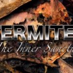 Termites – The Inner Sanctum