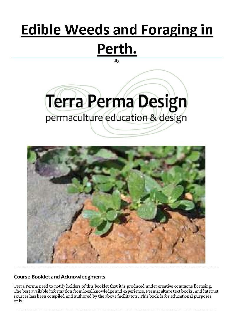 Edible Weeds and Foraging in Perth by Terra Perma Design