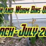 Garden & Worm Bin Update Mar – July 2022