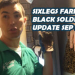 Sixlegs Farms Black Soldier Fly Update (Includes Compost Bins and Mealworms)
