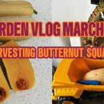 Garden and Worm Compost Bins Vlog Jan – Apr 2024